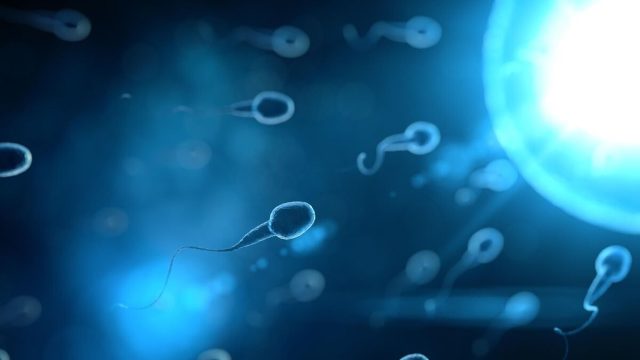 Burnundan uzun spermler: büyüleyici bir keşif